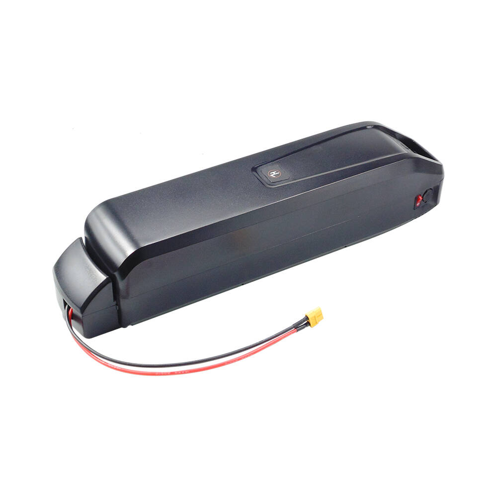 Ebike Battery 48V 20Ah Hailong - Nouvelle batterie de vélo électrique Hailong