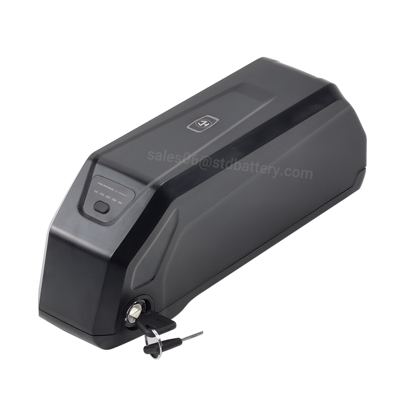 Batterie de vélo électrique po - Ebike Battery 48V 20Ah Hailong avis et prix